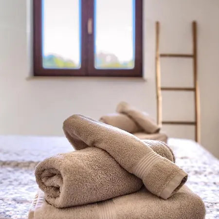 Holiday home Amorea Kuca Sa Privatnim Bazenom I Vrtom, Segotici, Istra *