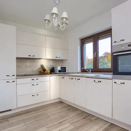 Amorea Kuca Sa Privatnim Bazenom I Vrtom, Segotici, Istra Holiday home *
